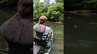 TEENY Spotted Bass!! #kayakfishing #kayakbassfishing