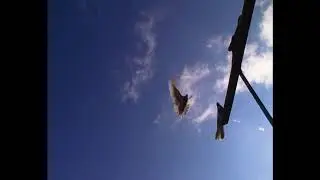 Николаевские голуби.Pigeon.Дождались погоды но............