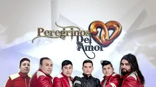 PEREGRINOS DEL AMOR "LA DEMANDA" 2020