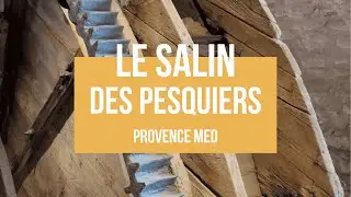 Le tympan I Salin des Pesquiers