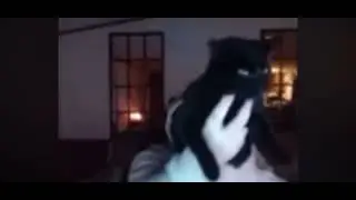 KITTYYYYYYYYY