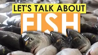 Let's Talk About Fish