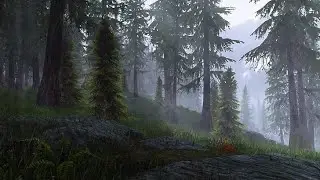 Skyrim Special Edition-ПРОХОЖДЕНИЕ-Гленморильский ковен