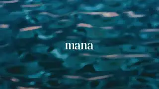 Ptr. - Mana