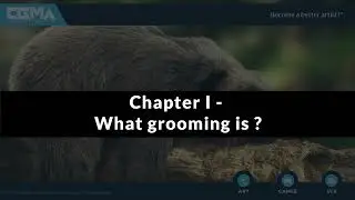 GROOMING COURSE  - CHAPTER 001 - WHAT IS GROOMING?
