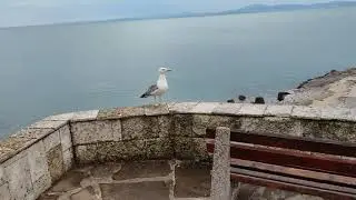 Утро