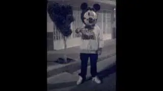 Animadversion - Lirika Inverza (Letra)