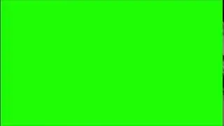 Green screen hand