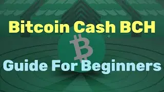 What Is Bitcoin Cash (BCH)?