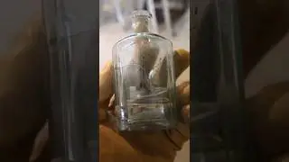 Comoara Descoperitã in Peretii Casei Sãsesti !