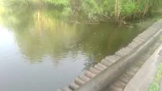 20170611/Уень/Черный Мыс
