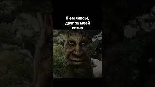 кучера мем 
