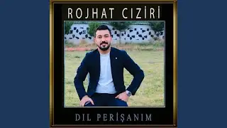 Dıl Perişanım