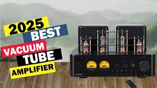 Best Tube Amp: Top 5 Best Vacuum Tube Amplifiers In 2025