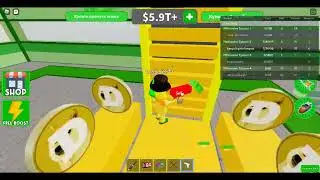 Roblox(Millionaire Empire Tycoon)