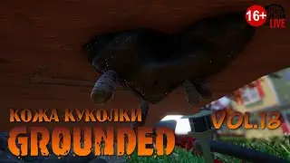 Grounded (2023) vol.18 ► Кожа куколки (стрим)