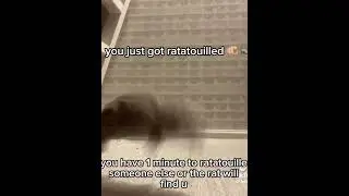 You just got ratatouilled 🐀🐀🐀🐀🐀