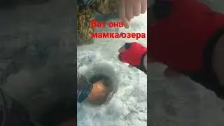 мамка озера а мож и папка😄
