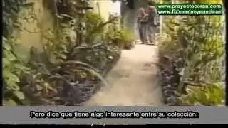 "FLOR DEL ADHAN" - MUST SEE - una flor que se abre 5 veces al día...subhan'ALLAH.