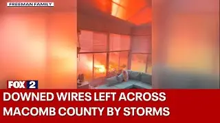 Storm damage leaves downed wires across east side including St. Clair Shores