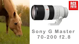 Sony G Master 70-200 f2.8 - Il TELEOBIETTIVO da AVERE !!!