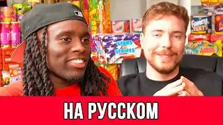 Мистер Бист пришел ВЗРЫВАТЬ ДОМ Кай Сената? (перевод 2 часть)