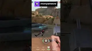 -4 11 часов жизни в этой ПАР | monyameow с помощью #Twitch