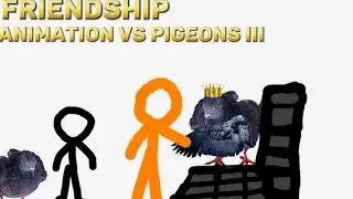 Friendship - Animation vs Pigeons III