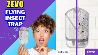 Zevo Flying Insect Trap Review: Is It The Best Gnat and Fruit Fly Trap?