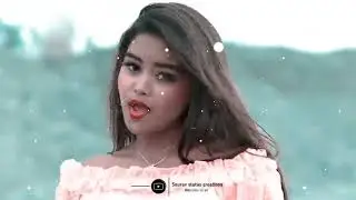 Lelo pudina nagpuri status video 4k
