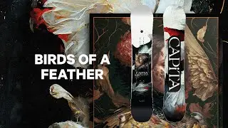 CAPiTA Snowboards | 2025 Birds of a Feather