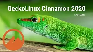 GeckoLinux Cinnamon Chat