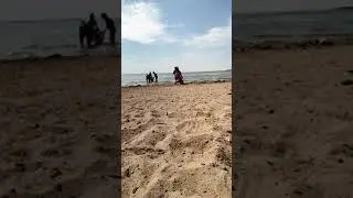 Топар