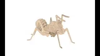 The Ant