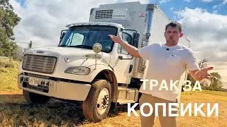 I bought a HUGE truck at auction for next to nothing, a once in a lifetime deal.