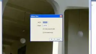 Insert Image