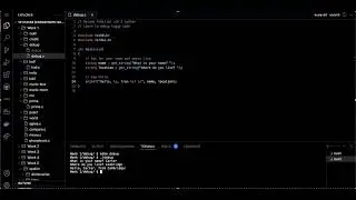 Harvard CS 50 Week 1 - Additional Problems - Debug - Solution