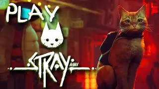 Play Stray! (Stray Review)
