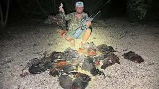 Hunting Wild CHICKENS With AIRGUNS {Catch Clean Cook} On An ISLAND