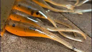 Let's Make Dead on Plastix Blue Craw/Orange Crappie Baits