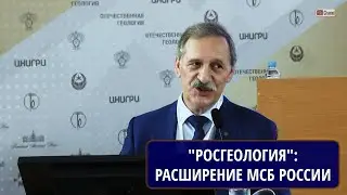 Результат совместных работ ЦНИГРИ и предприятий РОСГЕО по расширению МСБ России за последние 10 лет