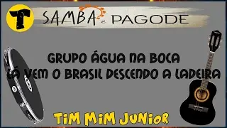 Grupo Água na Boca »» Lá Vem O Brasil Descendo A Ladeira 'com LETRA'