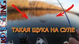 ШОК!!! каких размеров ЩУКИ КЛЮЮТ на СУЛЕ.