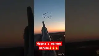 ВЫБИЛ 3 ГУСЯ С НАЛЁТА🔥🔥🔥#охота #охотанагуся #весенняяохота  #охотавидео #shorts