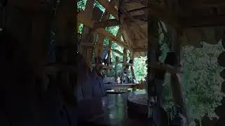 Усадьба Лебедь Турочак Республика Алтай Часть 339 #Shorts