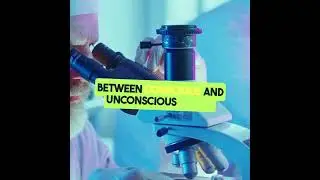 Unlocking Consciousness_ The Brain's Hidden Chamber #facts #spacefactsthatwillfreakyouout #science