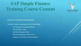 SAP S4 HANA Simple Finance Course Content Video