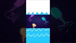 JellyFish #shotrs #baby #kidssong #nurseryrhymes #babysongs #seaanimals #kidssong #kidslearning