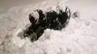 Лёшка в Усурийской Тайге