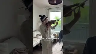 Я купила скрипку!